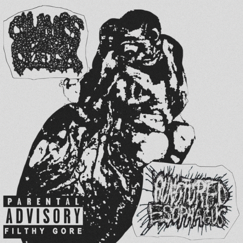 Clumps Of Flesh : Parental Advisory Filthy Gore